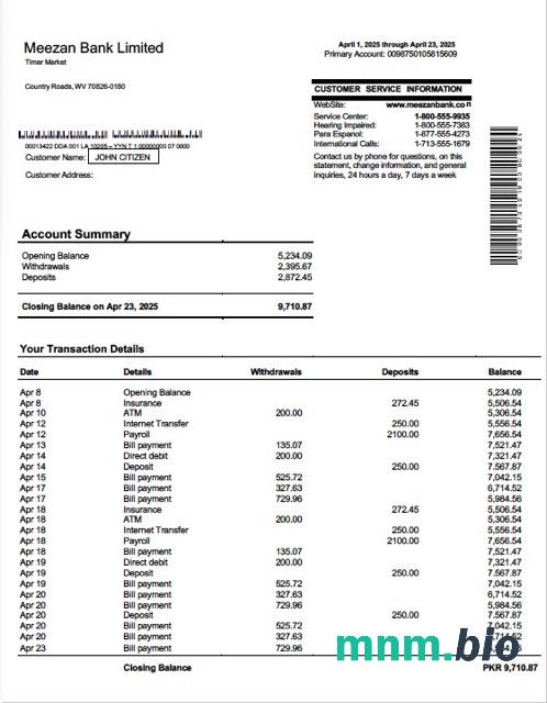 Pakistan Meezan Bank Limited wyciąg z konta Word i szablon PDF, 2 strony